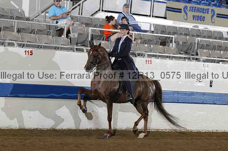 Proof 12r13_0575