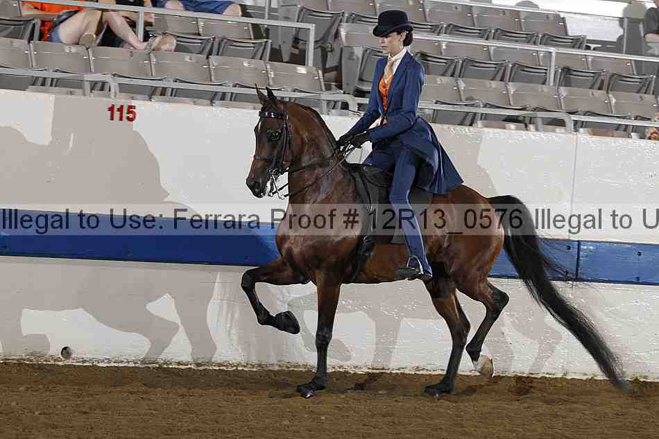 Proof 12r13_0576