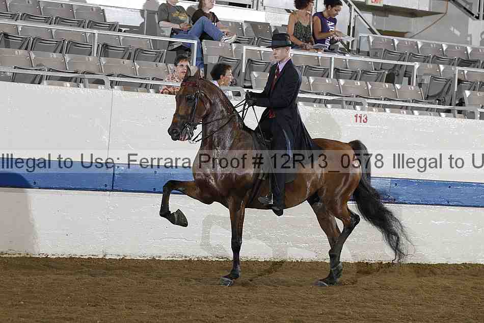 Proof 12r13_0578