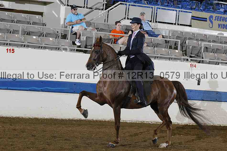 Proof 12r13_0579