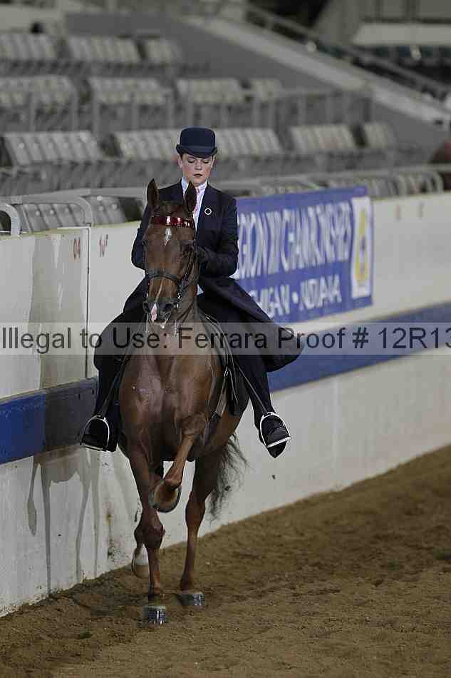 Proof 12r13_0582