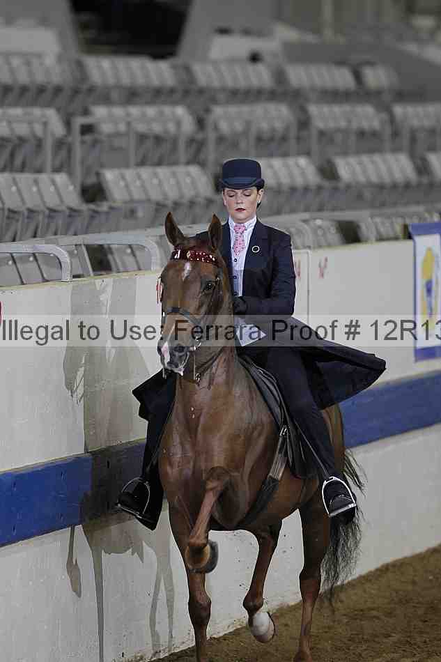Proof 12r13_0586