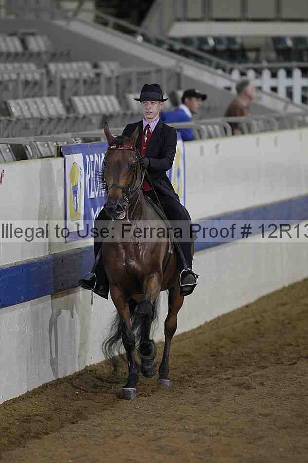 Proof 12r13_0587