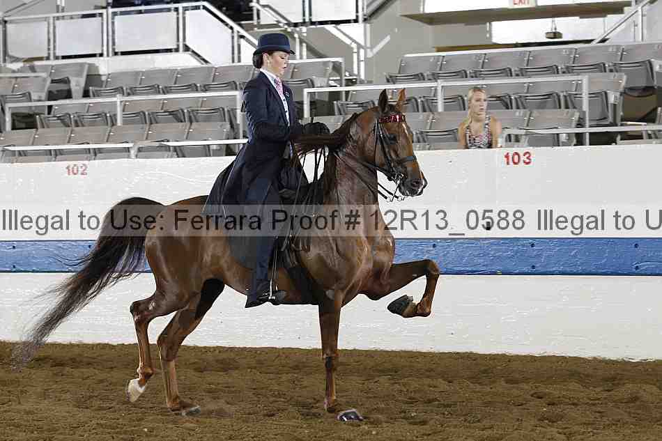 Proof 12r13_0588