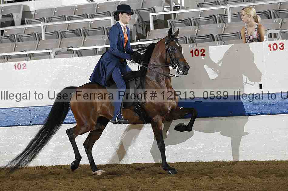 Proof 12r13_0589