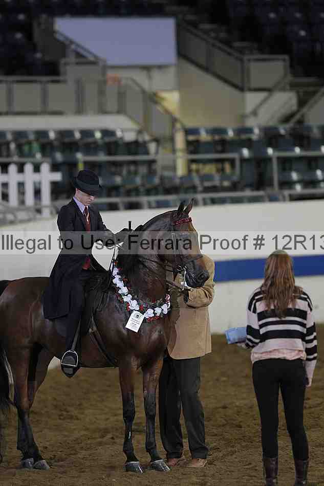 Proof 12r13_0590