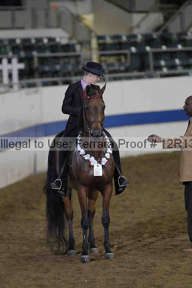 Proof 12r13_0591