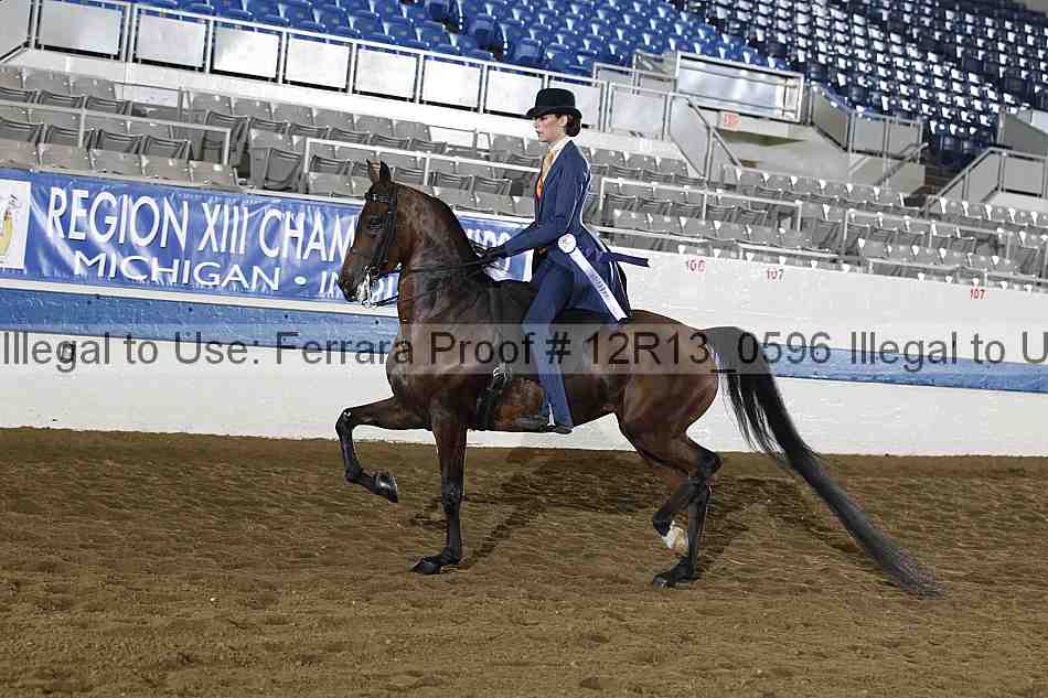 Proof 12r13_0596