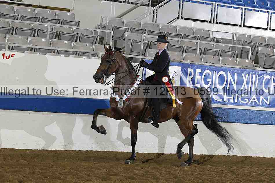 Proof 12r13_0599