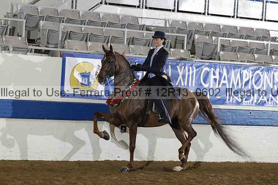 Proof 12r13_0602