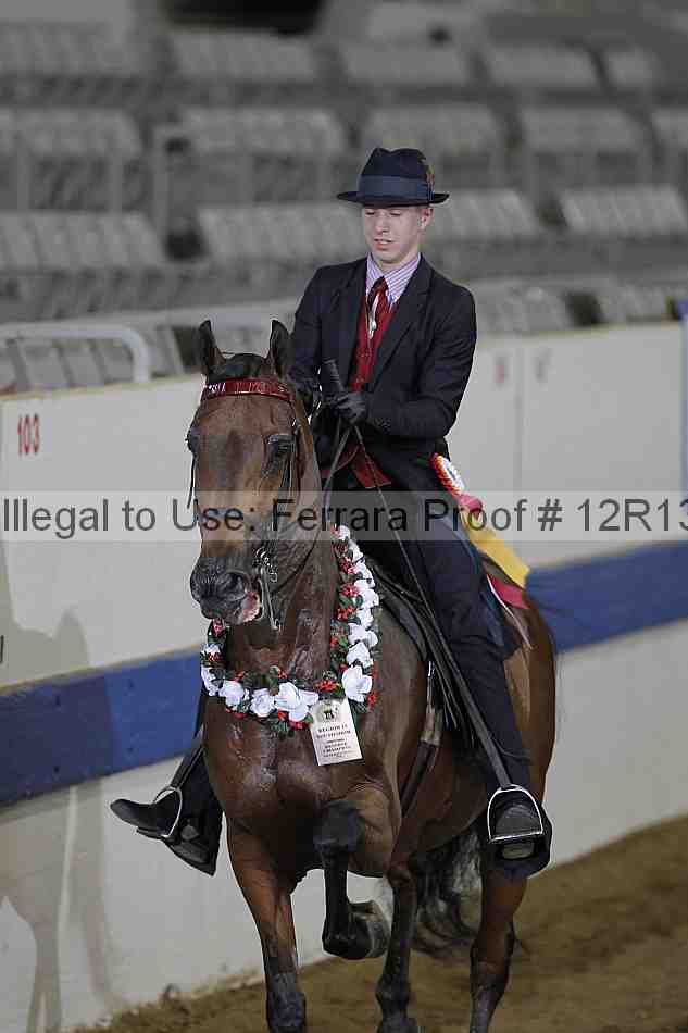 Proof 12r13_0604