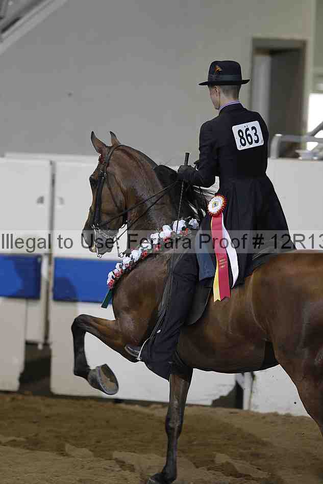 Proof 12r13_0605