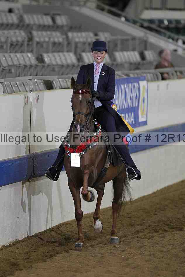 Proof 12r13_0607