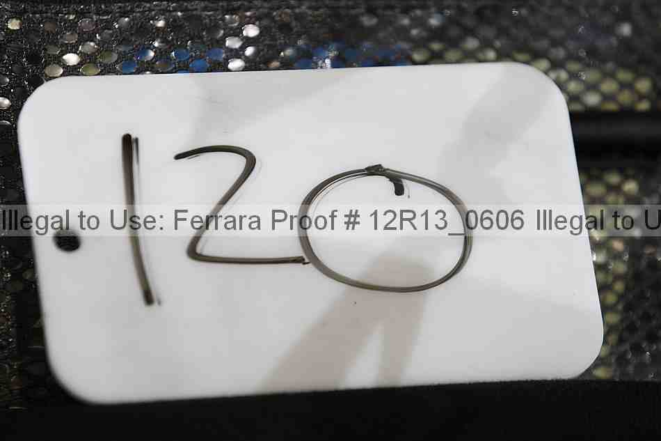 Proof 12r13_0606