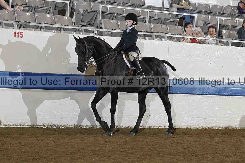 Proof 12r13_0608