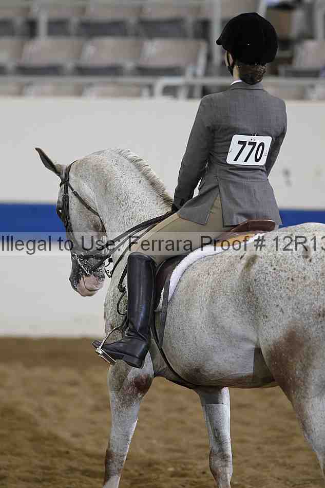 Proof 12r13_0611