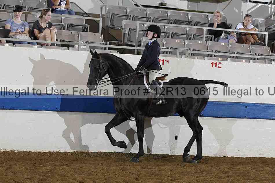 Proof 12r13_0615