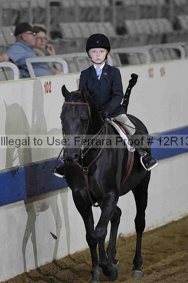 Proof 12r13_0618