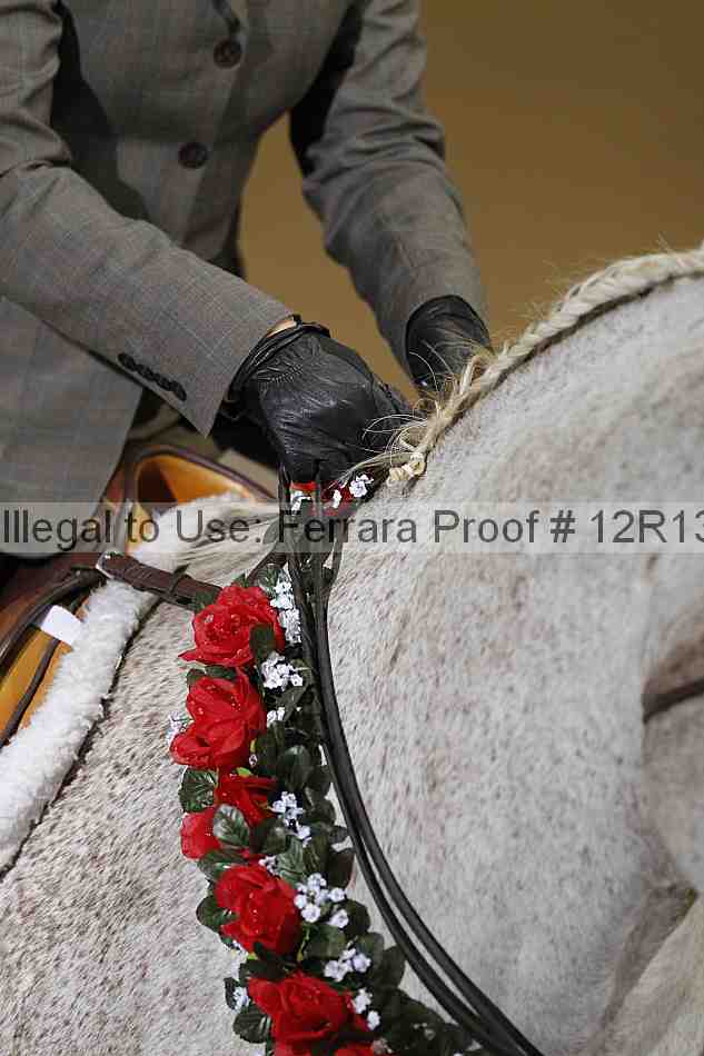 Proof 12r13_0636