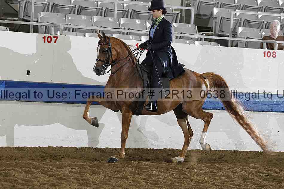 Proof 12r13_0638