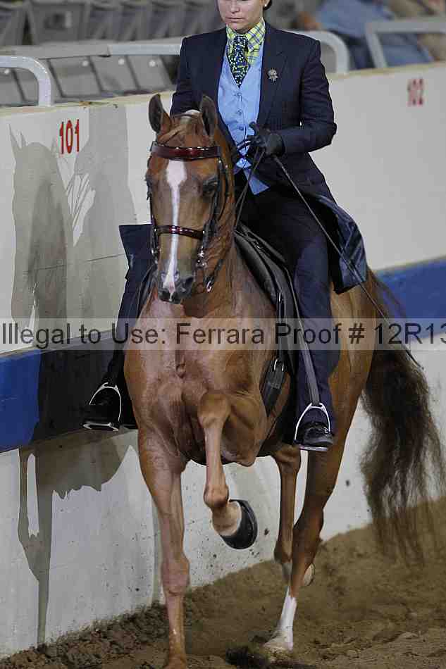 Proof 12r13_0641