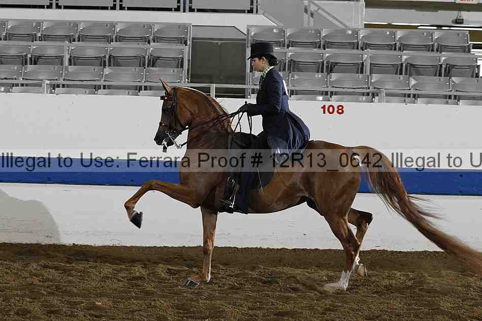 Proof 12r13_0642
