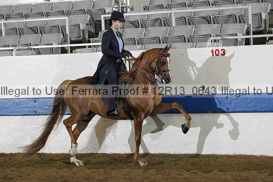 Proof 12r13_0643