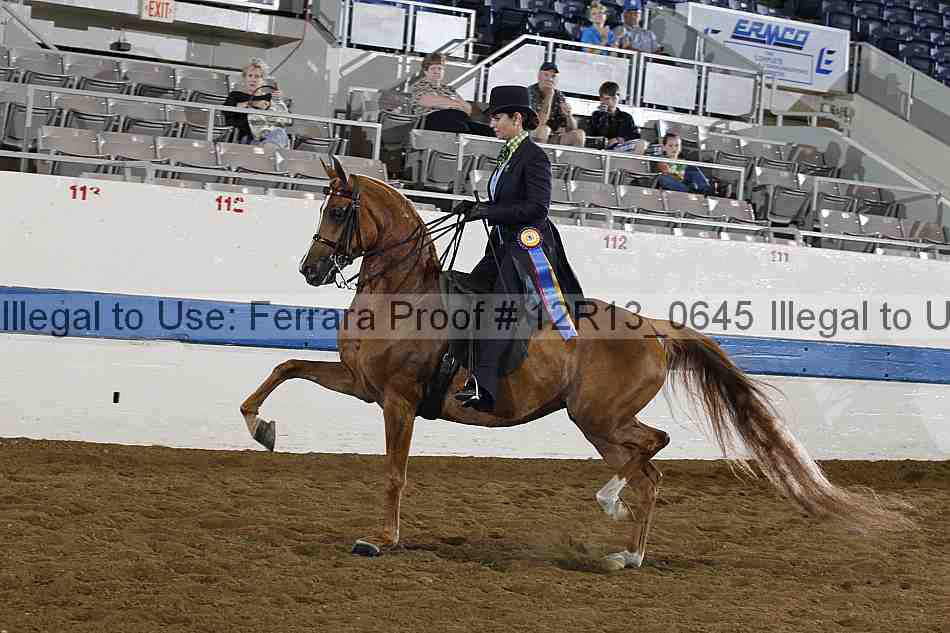 Proof 12r13_0645
