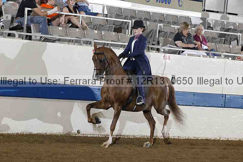 Proof 12r13_0650