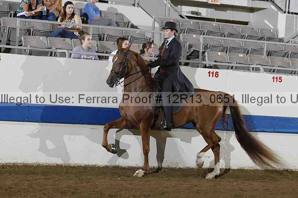 Proof 12r13_0651