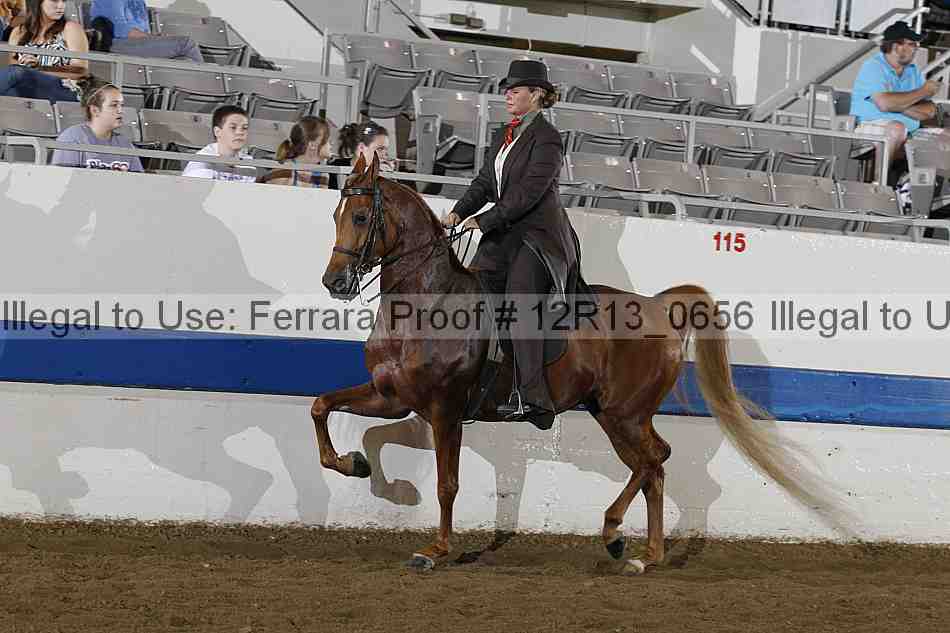 Proof 12r13_0656