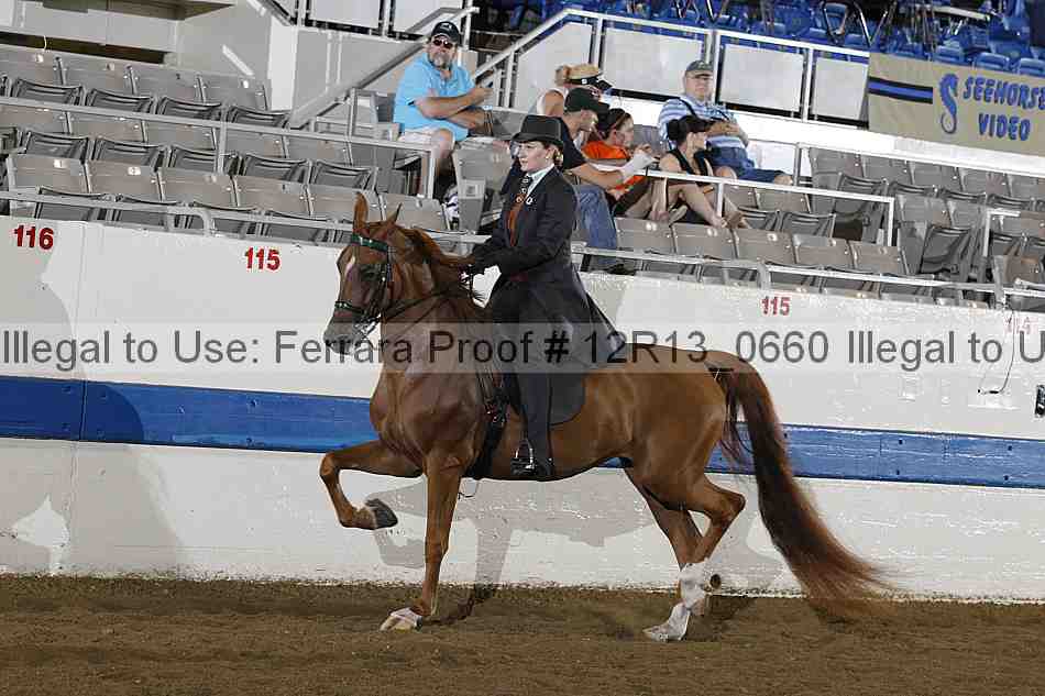 Proof 12r13_0660