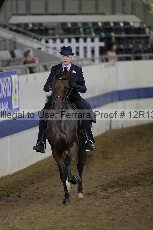 Proof 12r13_0663