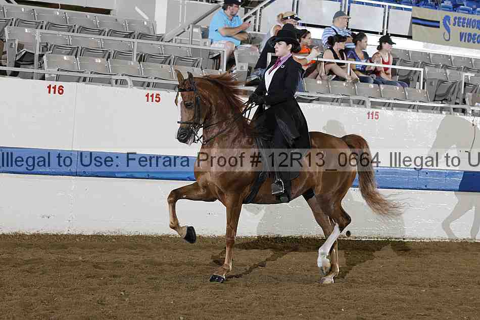 Proof 12r13_0664
