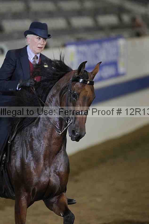 Proof 12r13_0665