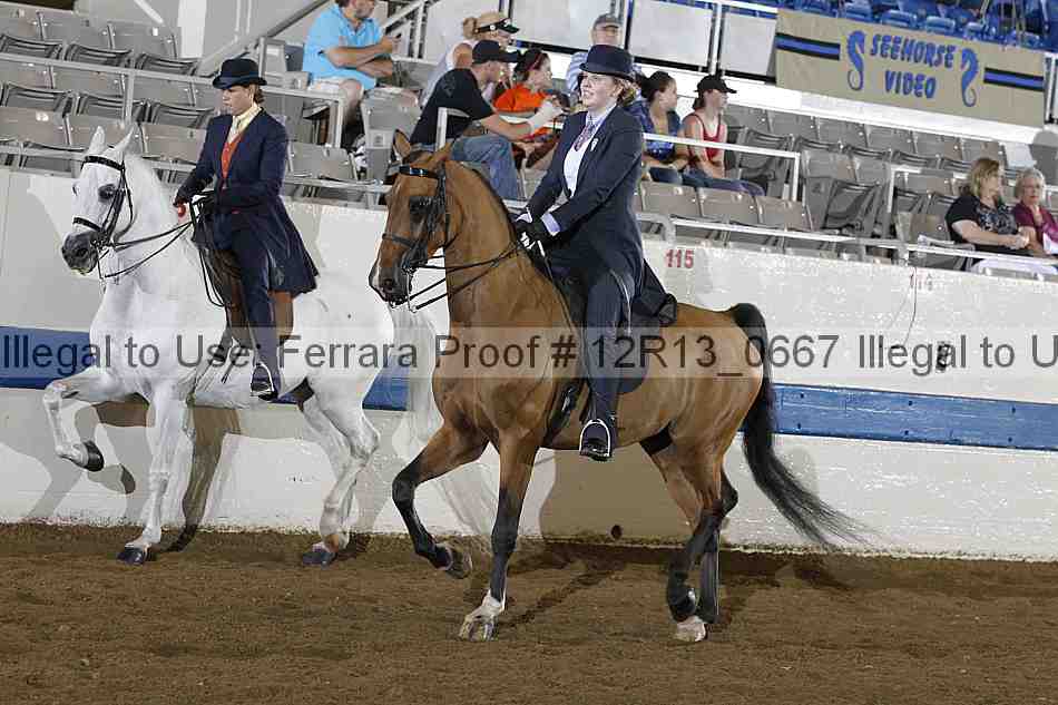 Proof 12r13_0667