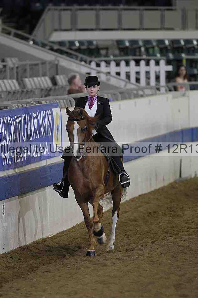 Proof 12r13_0668