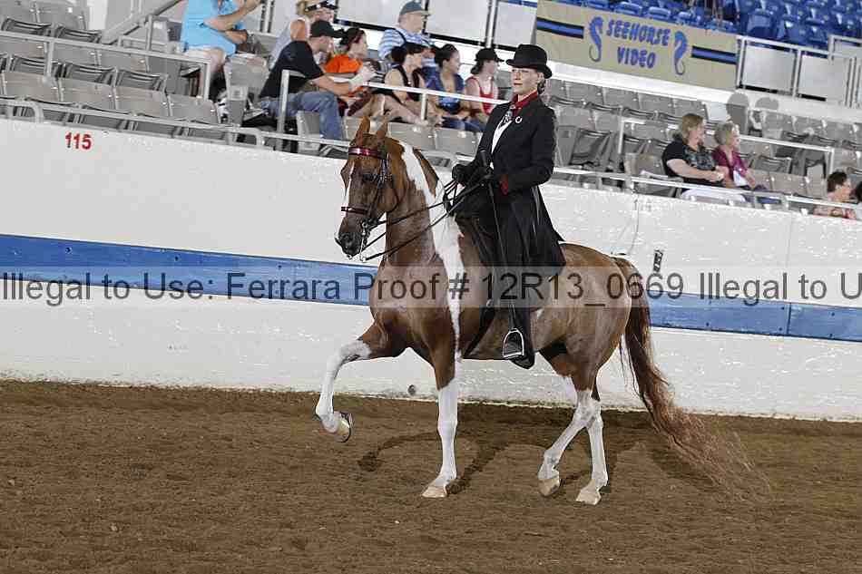 Proof 12r13_0669