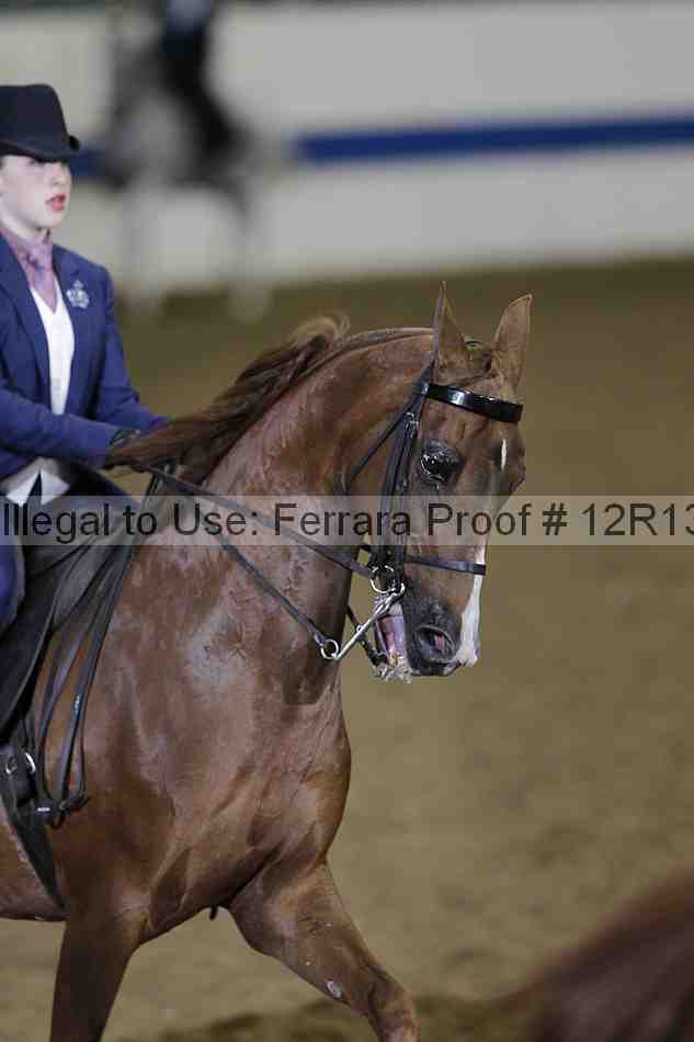 Proof 12r13_0671