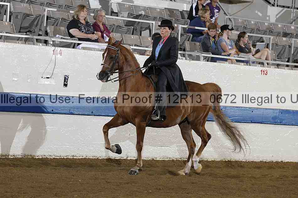 Proof 12r13_0672