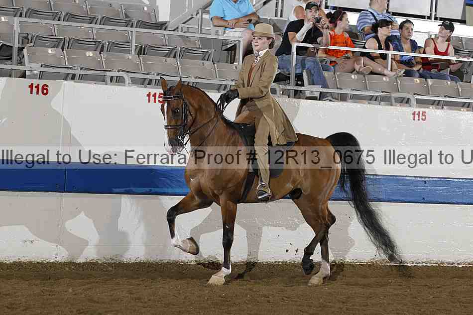 Proof 12r13_0675