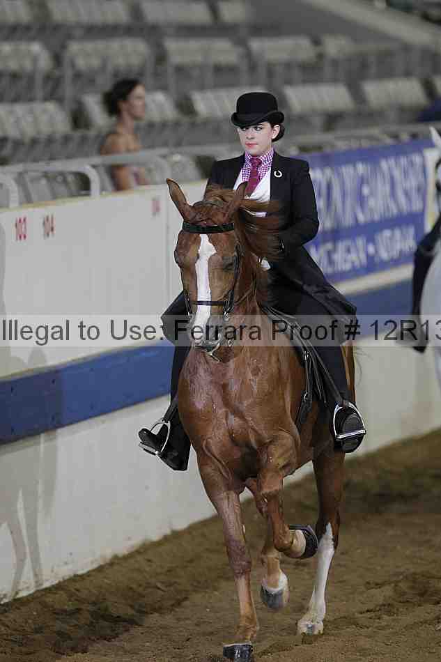 Proof 12r13_0684