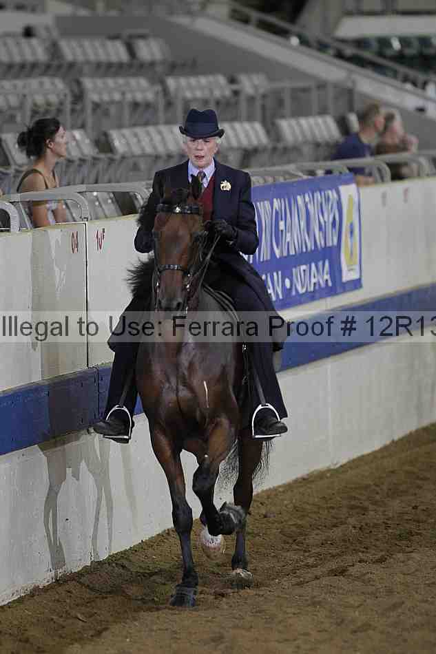 Proof 12r13_0686