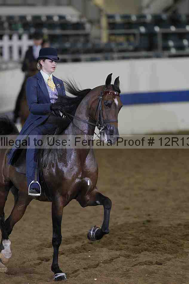 Proof 12r13_0687