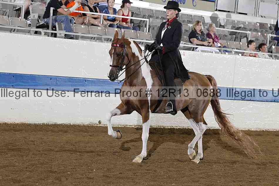Proof 12r13_0688