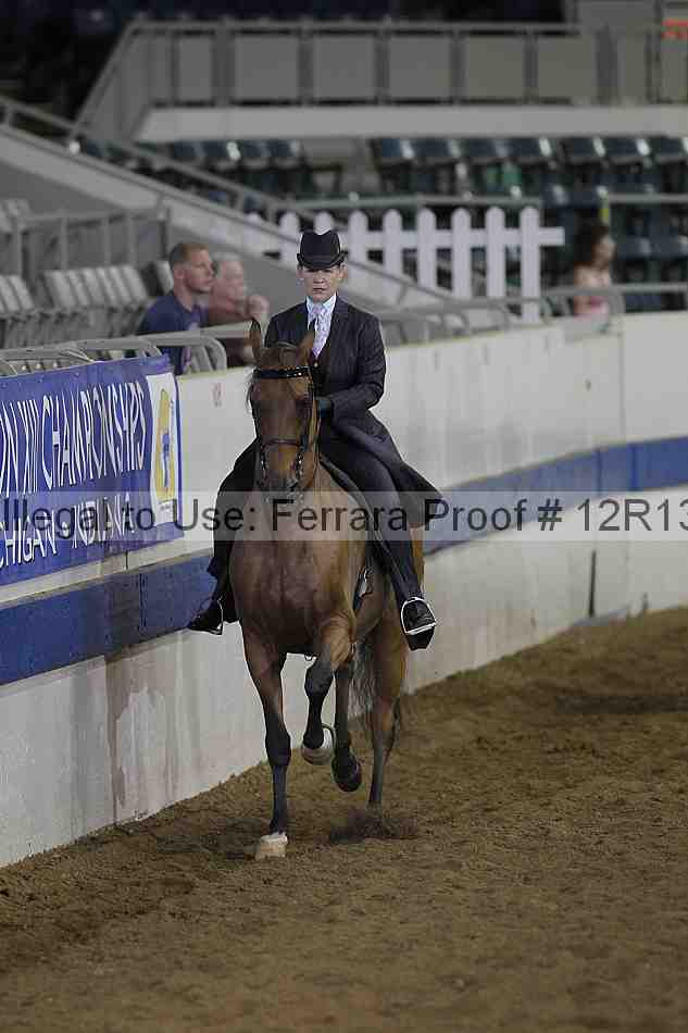 Proof 12r13_0689