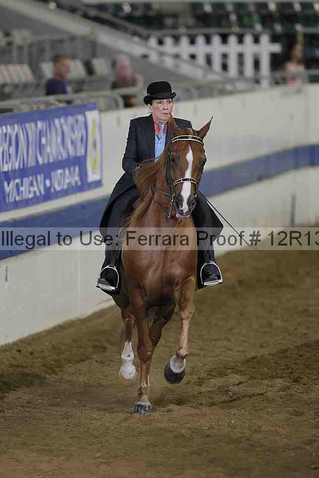 Proof 12r13_0690