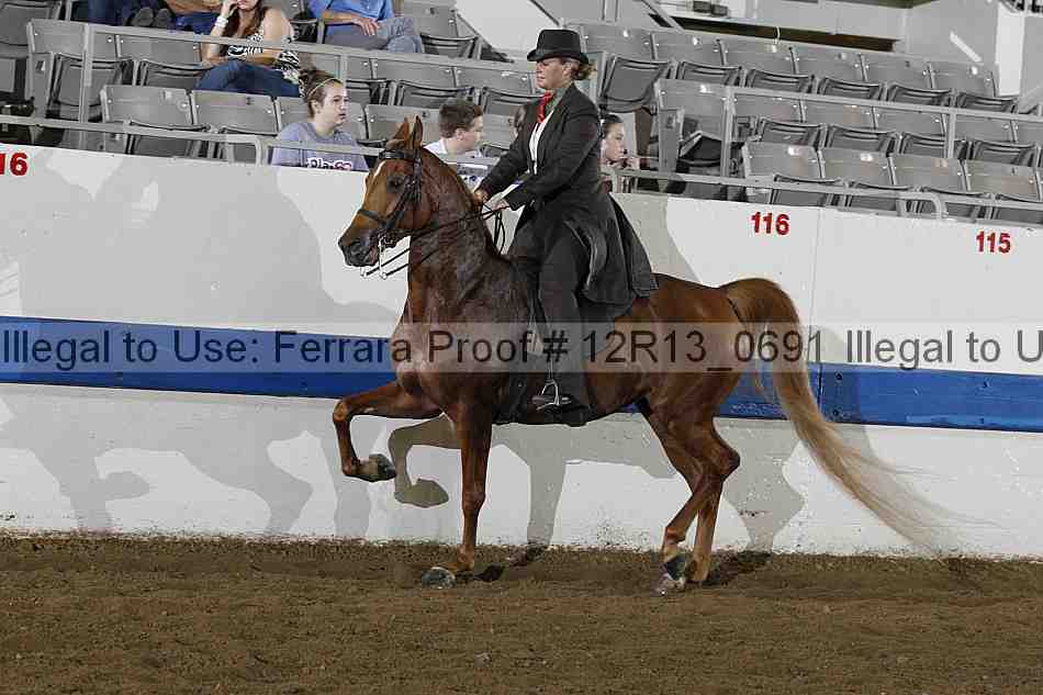 Proof 12r13_0691