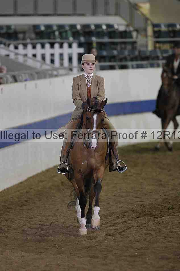 Proof 12r13_0693