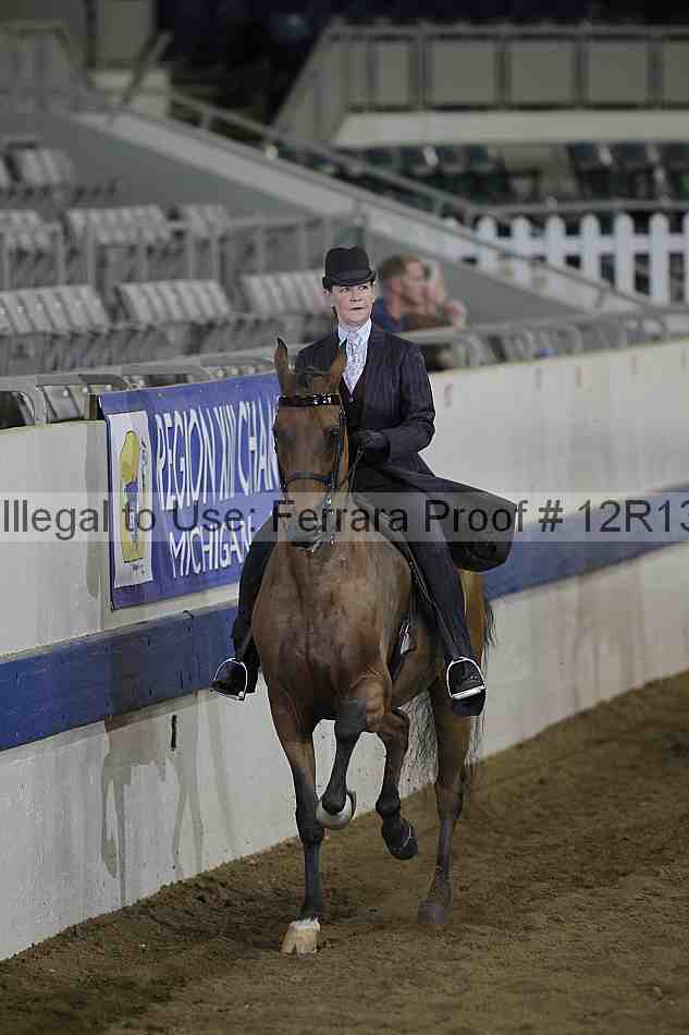 Proof 12r13_0699